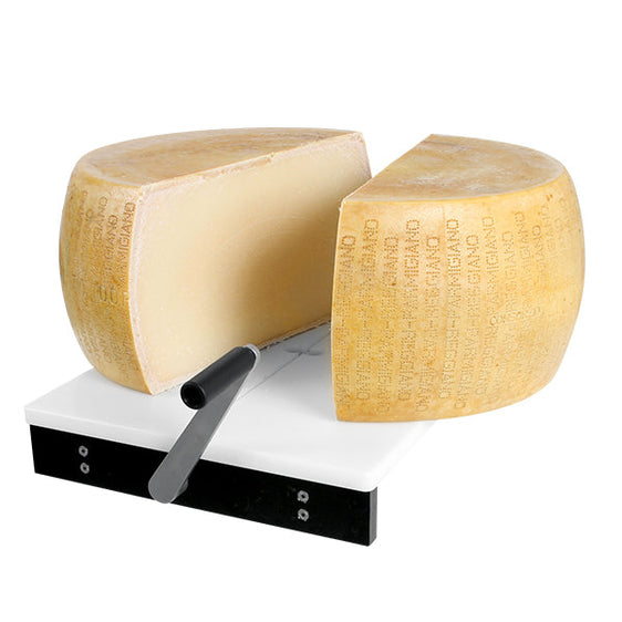 Snijdraad Parmesan Pro 1200x0,8 mm Set à 10 stuks