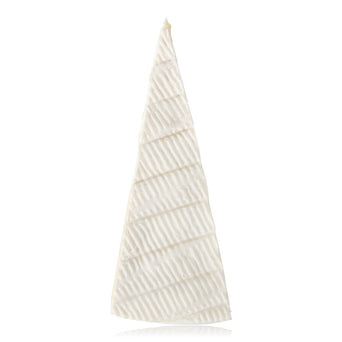 Kaasdummy Brie, punt, 1/16